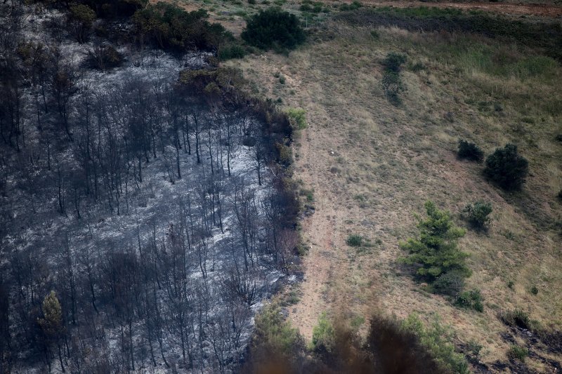 Νέες αναζωπυρώσεις στο Καπανδρίτι -Δάση, σπίτια και ΙΧ έγιναν στάχτη [εικόνες] | iefimerida.gr 20