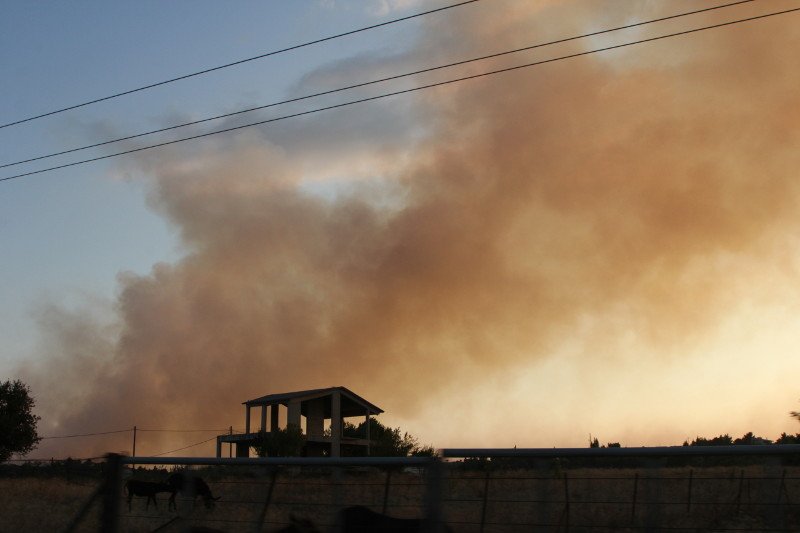 Νέες αναζωπυρώσεις στο Καπανδρίτι -Δάση, σπίτια και ΙΧ έγιναν στάχτη [εικόνες] | iefimerida.gr 4