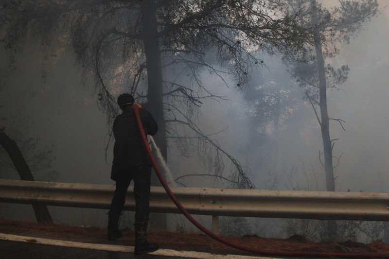 Νέες αναζωπυρώσεις στο Καπανδρίτι -Δάση, σπίτια και ΙΧ έγιναν στάχτη [εικόνες] | iefimerida.gr 6