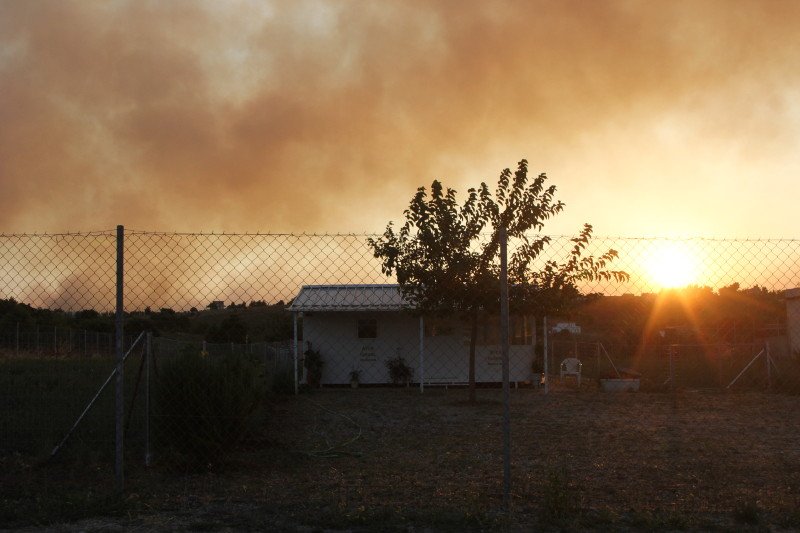 Νέες αναζωπυρώσεις στο Καπανδρίτι -Δάση, σπίτια και ΙΧ έγιναν στάχτη [εικόνες] | iefimerida.gr 8