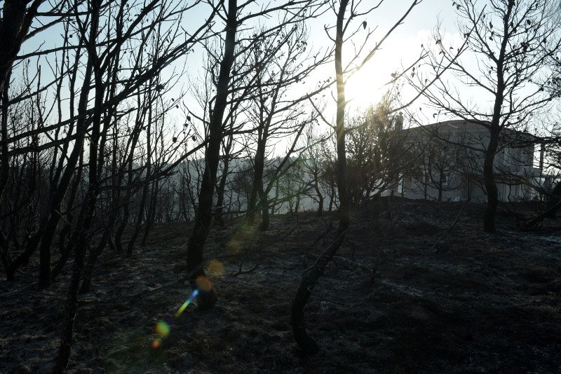 Νέες αναζωπυρώσεις στο Καπανδρίτι -Δάση, σπίτια και ΙΧ έγιναν στάχτη [εικόνες] | iefimerida.gr 9