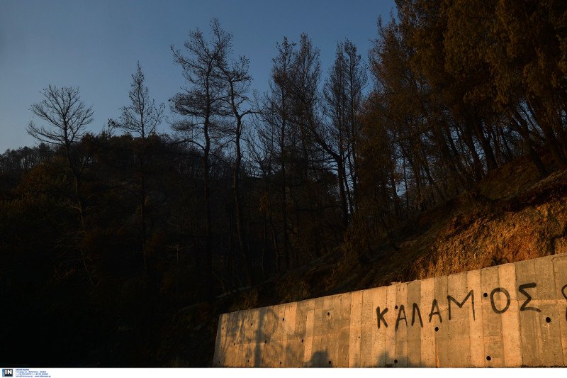 Νέες αναζωπυρώσεις στο Καπανδρίτι -Δάση, σπίτια και ΙΧ έγιναν στάχτη [εικόνες] | iefimerida.gr 14