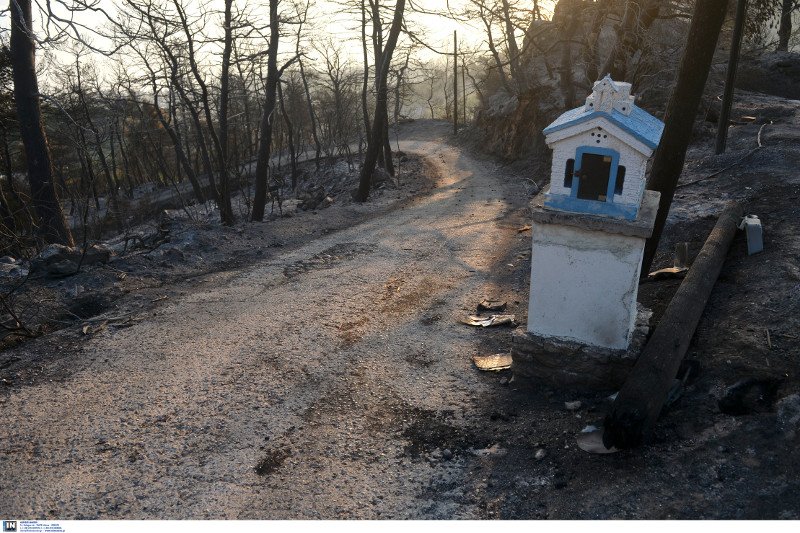 Νέες αναζωπυρώσεις στο Καπανδρίτι -Δάση, σπίτια και ΙΧ έγιναν στάχτη [εικόνες] | iefimerida.gr 15