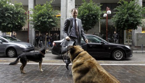 Εγινε κι αυτό: Επίθεση από αδέσποτα σκυλιά δέχτηκε χθες η Τρόικα [εικόνες] | iefimerida.gr 3