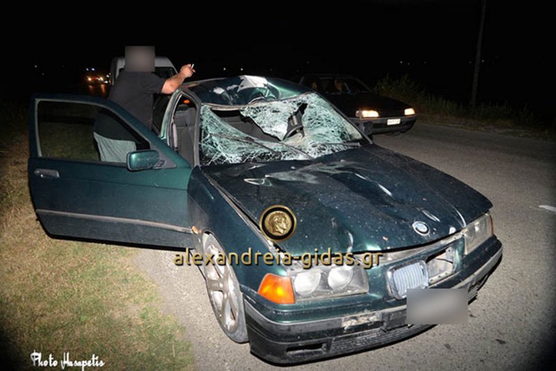 Σοβαρό τροχαίο στο Αγρίνιο -Αλογο έπεσε πάνω σε αυτοκίνητο [εικόνες] | iefimerida.gr 0