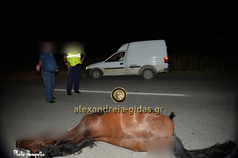 Σοβαρό τροχαίο στο Αγρίνιο -Αλογο έπεσε πάνω σε αυτοκίνητο [εικόνες] | iefimerida.gr 1