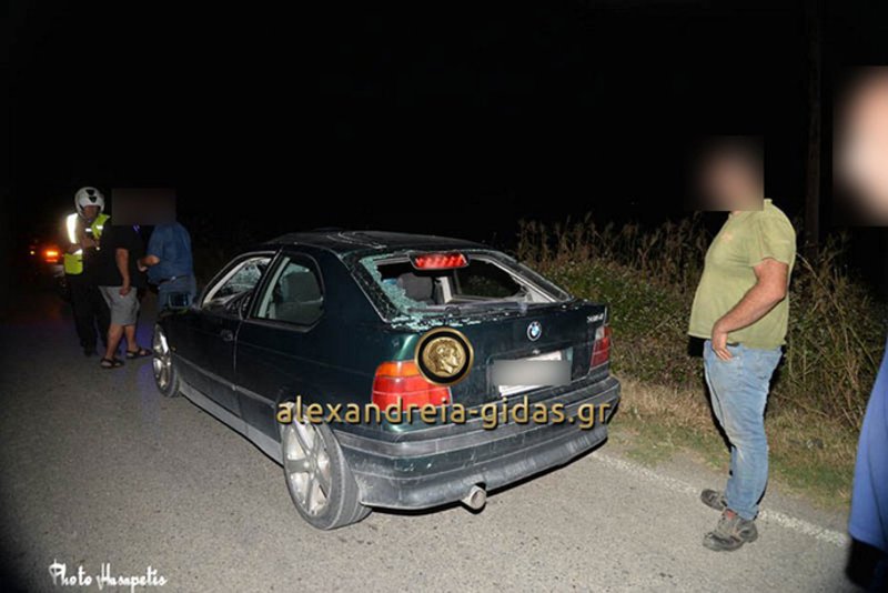 Σοβαρό τροχαίο στο Αγρίνιο -Αλογο έπεσε πάνω σε αυτοκίνητο [εικόνες] | iefimerida.gr 2