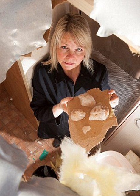 Παραλίγο να την σκοτώσουν περιττώματα που έπεσαν από τον ουρανό [εικόνες] | iefimerida.gr 1