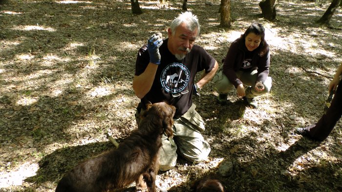 Πέντε χιλιάδες επισκέπτες πήγαν στην 1η Γιορτή Μανιταριού στην Καλαμπάκα | iefimerida.gr 2