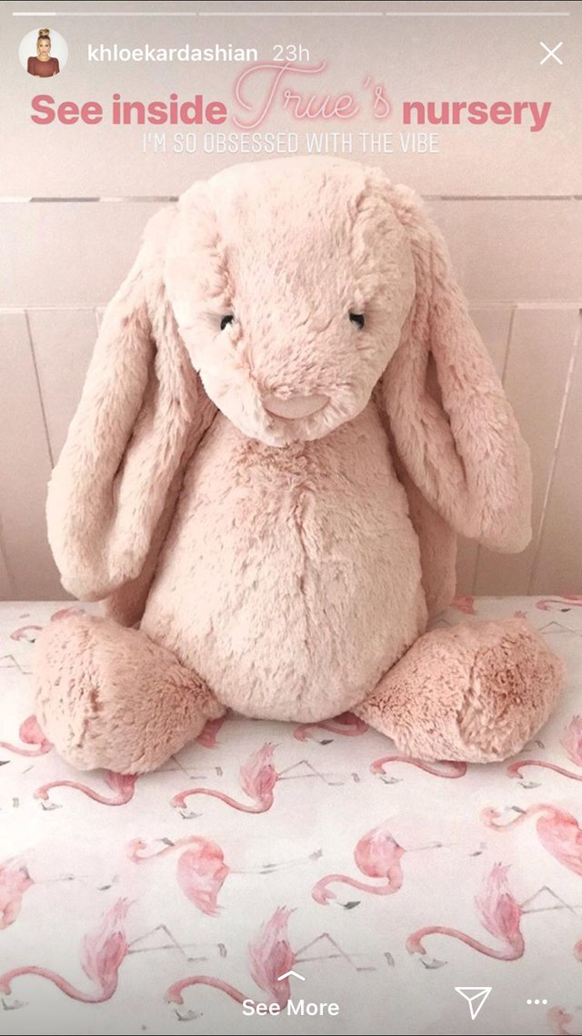 Το παιδικό δωμάτιο της κόρης της Κλόε Καρντάσιαν είναι ένας ροζ παράδεισος [εικόνες] | iefimerida.gr 2