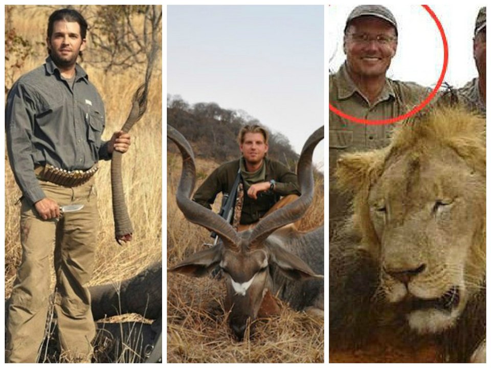 Σάλος με τους γιους του Τραμπ που σκοτώνουν άγρια ζώα στην Αφρική [εικόνες] | iefimerida.gr 7