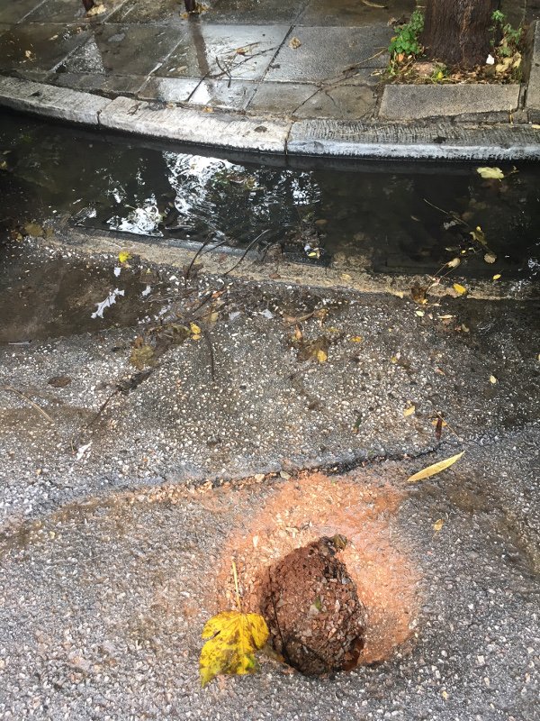 Μεγάλη τρύπα σε δρόμο της Αθήνας -Επικίνδυνη για πεζούς και ΙΧ [εικόνες] | iefimerida.gr 1