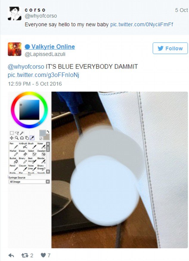 Μετά το φόρεμα, νέο «μυστήριο» στο Twitter- Αυτή η τσάντα είναι λευκή ή μπλε; [εικόνες] | iefimerida.gr 2