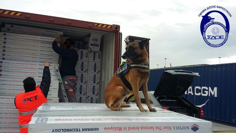 Ο Diablo, ο σκύλος του ΣΔΟΕ ξετρύπωσε 12.500.000 τεμάχια λαθραία τσιγάρα [εικόνες] | iefimerida.gr 1