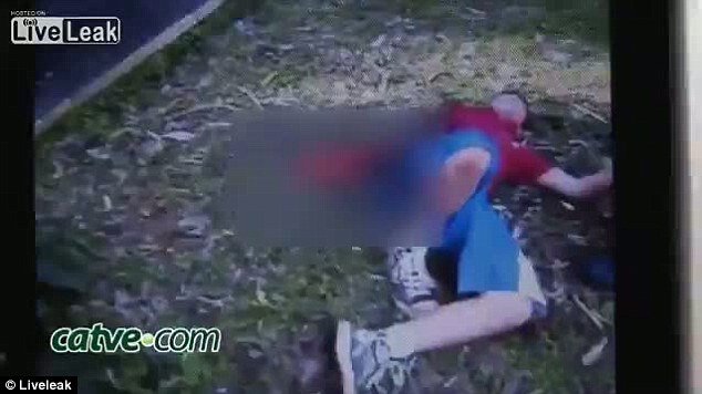 Σκηνές αλλοφροσύνης στη Βραζιλία: Τίγρης επιτέθηκε σε αγόρι και ακρωτηρίασε το χέρι του [εικόνες] | iefimerida.gr 4