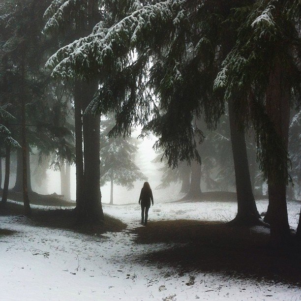Αφησε τη δουλειά του στην ΙBM, έκανε το Ιnstagram επάγγελμα και ζει από αυτό [εικόνες] | iefimerida.gr 0
