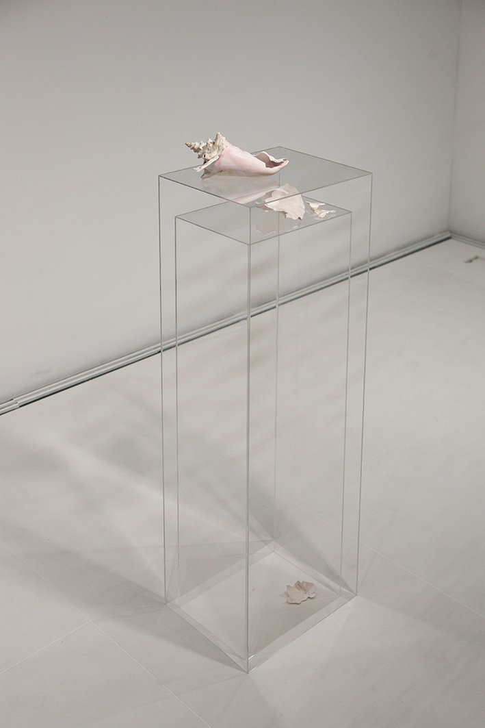 Η δυναμική Κορεάτισα εικαστικός Joo Yeon Park στην γκαλερί Καππάτος [εικόνες] | iefimerida.gr 3