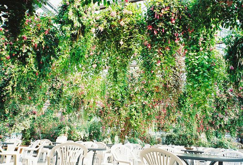 To oμορφότερο καφέ-εστιατόριο στον κόσμο: Δεν υπάρχουν λόγια για να το περιγράψεις [εικόνες] | iefimerida.gr 2