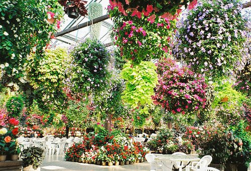 To oμορφότερο καφέ-εστιατόριο στον κόσμο: Δεν υπάρχουν λόγια για να το περιγράψεις [εικόνες] | iefimerida.gr 0