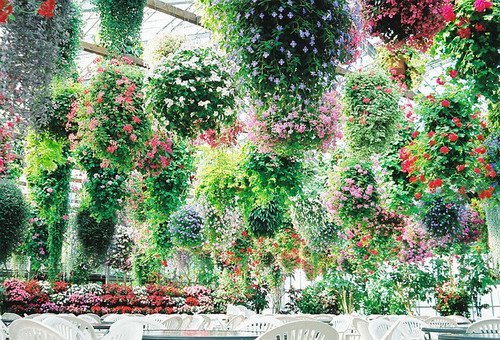 To oμορφότερο καφέ-εστιατόριο στον κόσμο: Δεν υπάρχουν λόγια για να το περιγράψεις [εικόνες] | iefimerida.gr 3