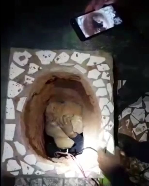 Κρατούμενος έσκαψε σήραγγα 70 μέτρων, αλλά πέθανε από ασφυξία λίγο πριν αποδράσει [βίντεο]  | iefimerida.gr 0