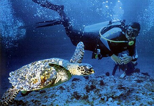 Αυτό είναι το μοναδικό νησί στον κόσμο όπου υπάρχει όριο επισκεπτών -Μοιάζει με τον Παράδεισο όσο κανένα άλλο [εικόνες] | iefimerida.gr 16