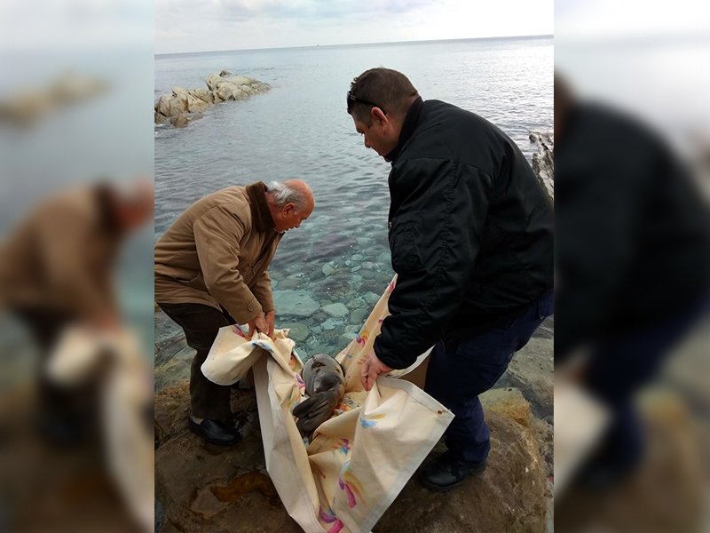 Στην «αγκαλιά» ψαράδων και λιμενικών / Φωτογραφία: TvStar.gr