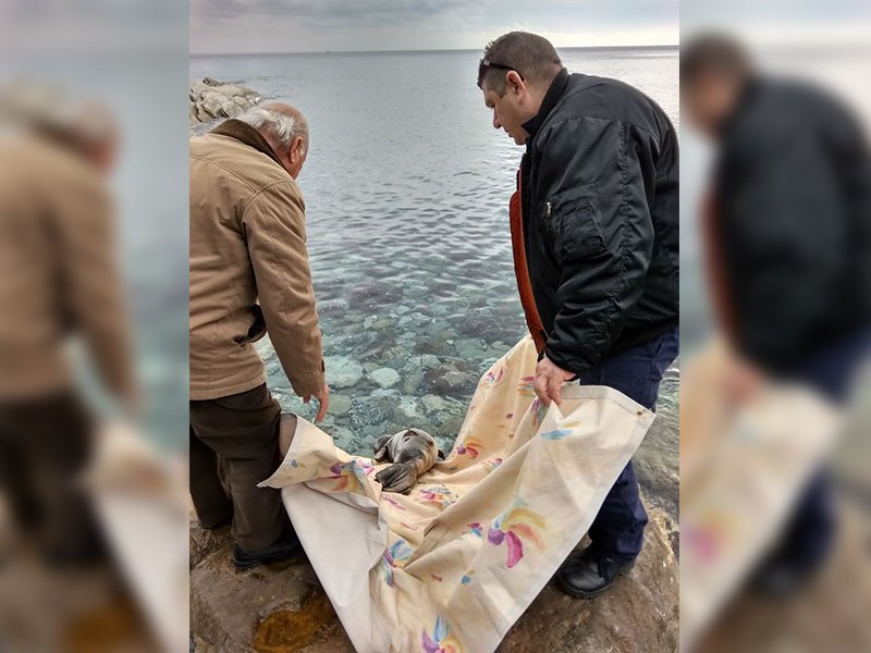 Η στιγμή που επιστρέφει στο φυσικό της περιβάλλον / Φωτογραφία: TvStar.gr