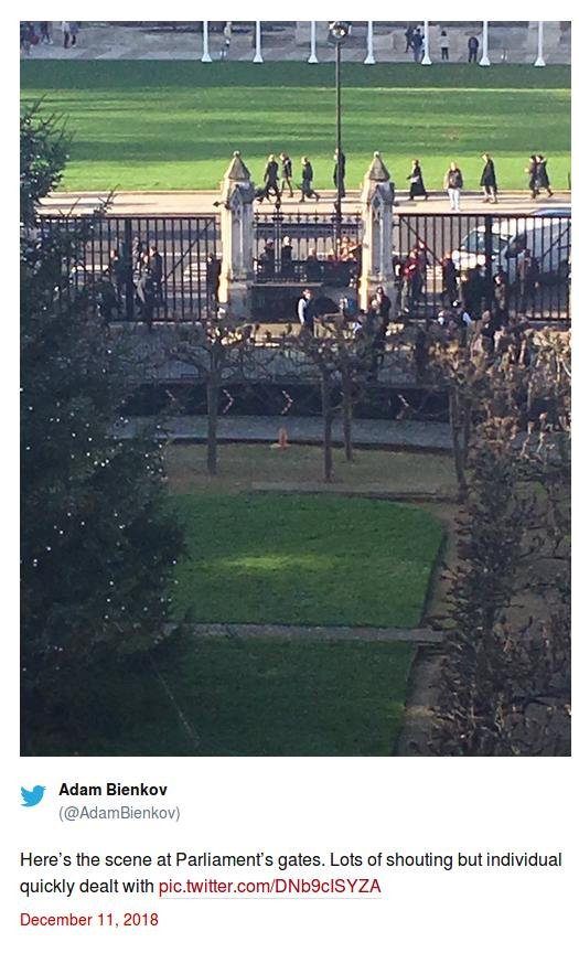 Συναγερμός στη βρετανική Βουλή: Ακινητοποίησαν ύποπτο, με τέιζερ, στην πύλη  | iefimerida.gr 0