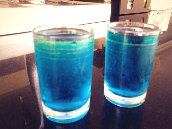 Το πρώτο ξενοδοχείο αποκλειστικά για χρήστες του Twitter – Ολα λειτουργούν με hashtags [εικόνες & βίντεο] | iefimerida.gr 5