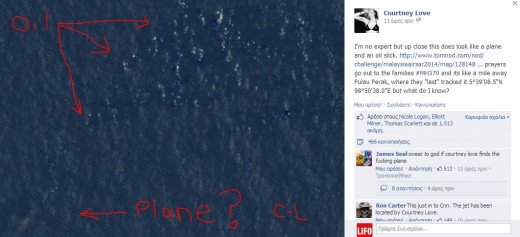 Η Κόρτνεϊ Λοβ τα έχασε τελείως -Ισχυρίζεται ότι βρήκε το χαμένο Boeing και έχει μάλιστα και τις συντεταγμένες [εικόνες]  | iefimerida.gr 0