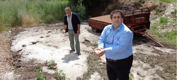 Από τη Βουλή στη βιοπάλη -4 πρώην βουλευτές που έγιναν κτηνοτρόφοι και αγρότες περιγράφουν [εικόνες] | iefimerida.gr 8