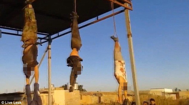 Ιράκ: Τζιχαντιστές κρέμασαν πτώματα στην είσοδο της πόλης Hawija [σκληρές εικόνες] | iefimerida.gr 1