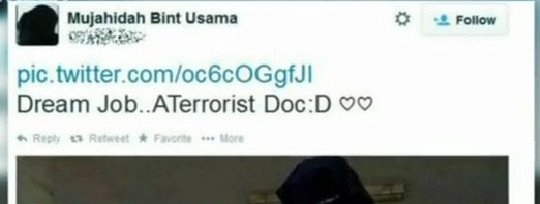  Οι γυναίκες του Τζιχάντ από τη Δύση -Εγκαταλείπουν τις οικογένειές τους για να πολεμήσουν στο πλευρό των μακελάρηδων [εικόνες] | iefimerida.gr 7