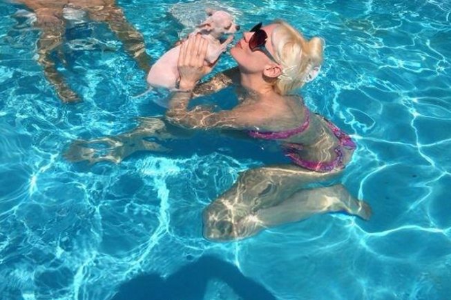 Η Τζούλια Αλεξανδράτου δροσίζεται στην φουσκωτή  πισίνα της [εικόνες] | iefimerida.gr 2