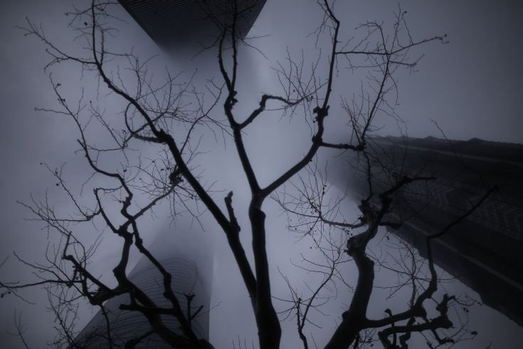 Ουράνια πολιτεία: Ουρανοξύστες χαμένοι στην ομίχλη [εικόνες]  | iefimerida.gr 3