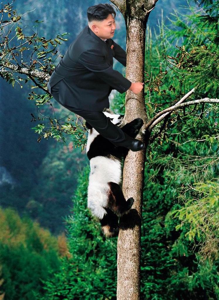 Διαδικτυακό ρεζίλι και πάλι ο Κιμ Γιονγκ Ουν: Η φωτογραφία με το στρώμα που έγινε viral [εικόνες] | iefimerida.gr 12