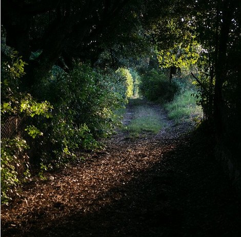 Το πιο γοητευτικό μέρος του κόσμου βρίσκεται στη Μεσόγειο -Μια παραμυθένια καστροπολιτεία περιτριγυρισμένη από καταρράκτες [εικόνες]  | iefimerida.gr 7