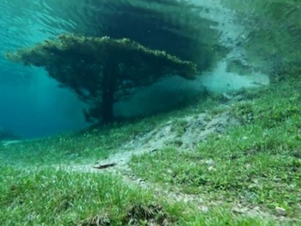 Eνας μικρός παράδεισος στην Αυστρία - Υποβρύχιο πάρκο βρέθηκε κάτω από λίμνη [εικόνες]  | iefimerida.gr 1