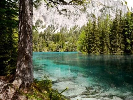 Eνας μικρός παράδεισος στην Αυστρία - Υποβρύχιο πάρκο βρέθηκε κάτω από λίμνη [εικόνες]  | iefimerida.gr 4