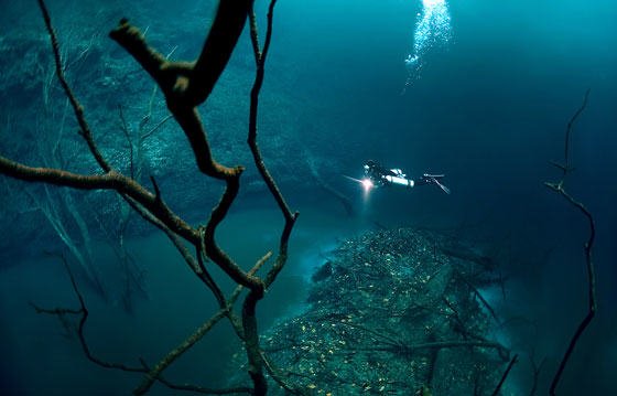 Ενα ποτάμι στον βυθό της θάλασσας - Το θέαμα στο Μεξικό εντυπωσιάζει [εικόνες] | iefimerida.gr 2