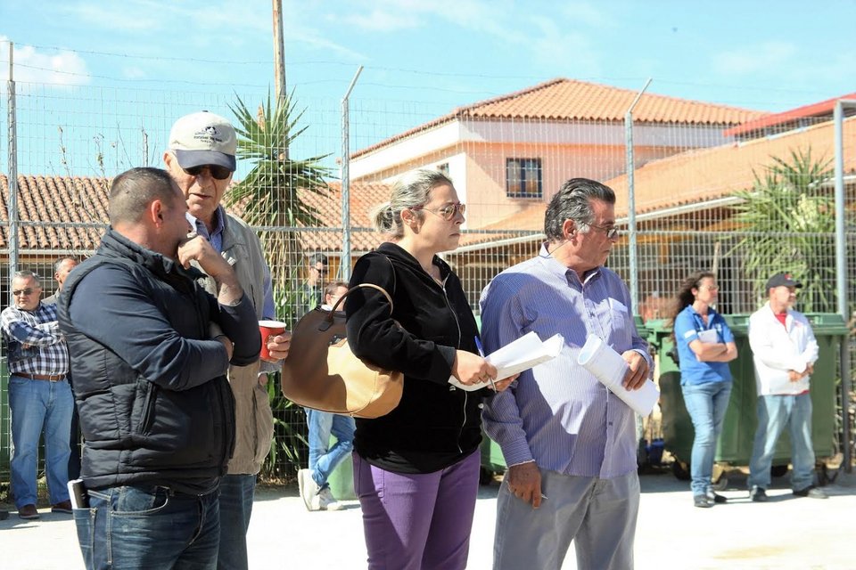 Την Πέμπτη η μεγάλη δημοπρασία 23 καθαρόαιμων ίππων από την Ιπποδρομίες ΑΕ, του ΟΠΑΠ | iefimerida.gr 0