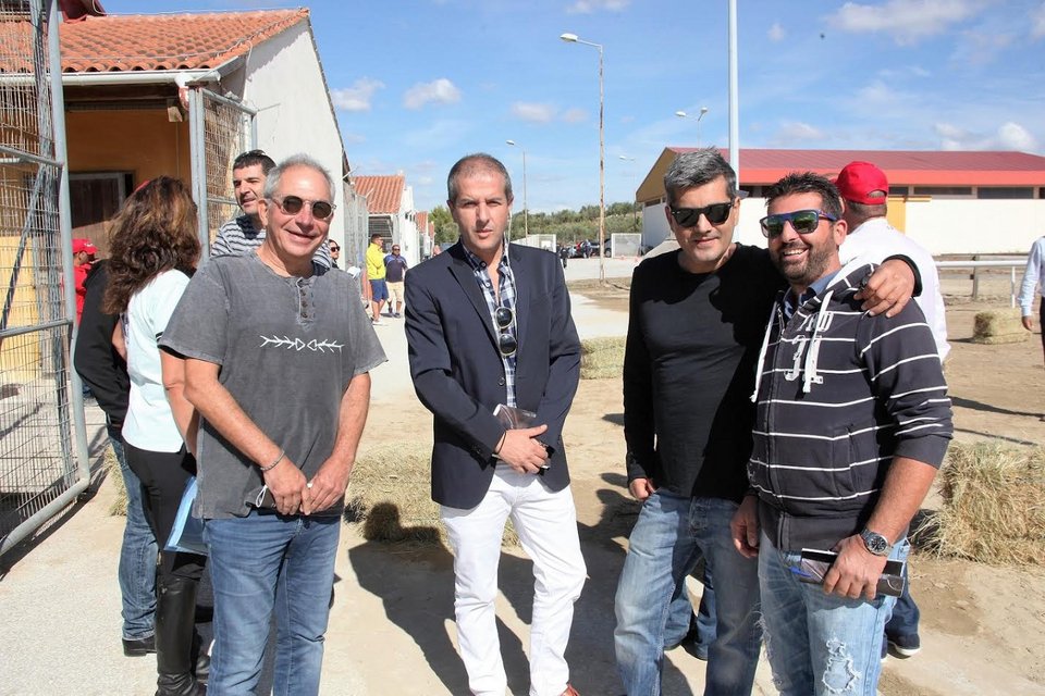 Την Πέμπτη η μεγάλη δημοπρασία 23 καθαρόαιμων ίππων από την Ιπποδρομίες ΑΕ, του ΟΠΑΠ | iefimerida.gr 3