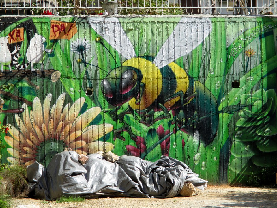 Εφηβοι μαθητές φωτογραφίζουν: Αυτή είναι η πραγματική όψη της ελπίδας [εικόνες] | iefimerida.gr 3