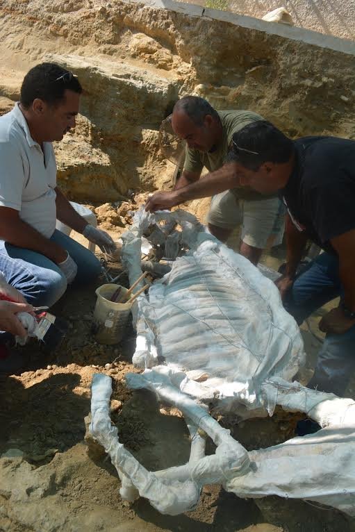 Αναπάντεχη σημαντική αρχαιολογική ανακάλυψη: Στο φως νεκρόπολη του 7ου αιώνα π.Χ  στη Χίο [εικόνες] | iefimerida.gr 1