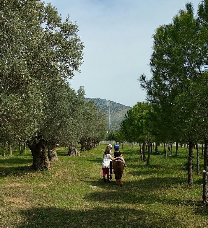 Βόλτες με άλογα και διασκεδαστικές δραστηριότητες στον ιππόδρομο στις 5 Ιουλίου- Το Μαρκόπουλο μετατρέπεται σε πάρκο ψυχαγωγίας για όλη την οικογένεια | iefimerida.gr 0