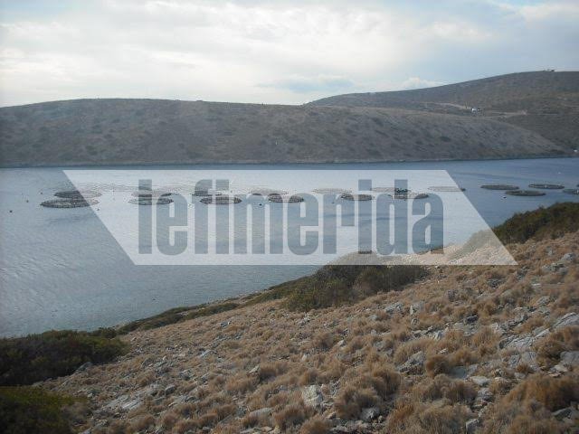 Αγαθονήσι: Κραυγή αγωνίας για τις ιχθυοκαλλιέργειες – «Να μείνει ζωντανή η επιχείρηση» | iefimerida.gr 1