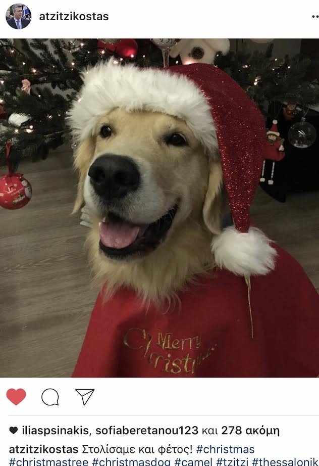Ο Τζιτζικώστας στόλισε για τα Χριστούγεννα τον... σκύλο του [εικόνα] | iefimerida.gr 0