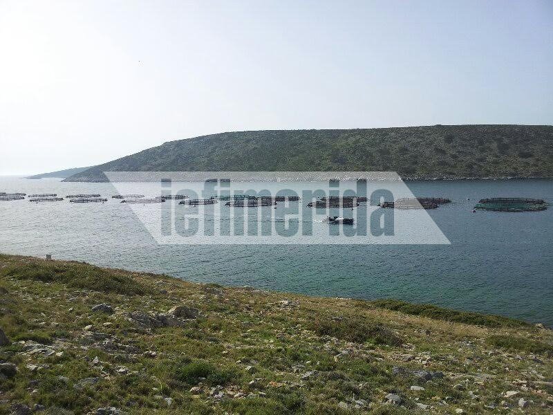 Αγαθονήσι: Κραυγή αγωνίας για τις ιχθυοκαλλιέργειες – «Να μείνει ζωντανή η επιχείρηση» | iefimerida.gr 0