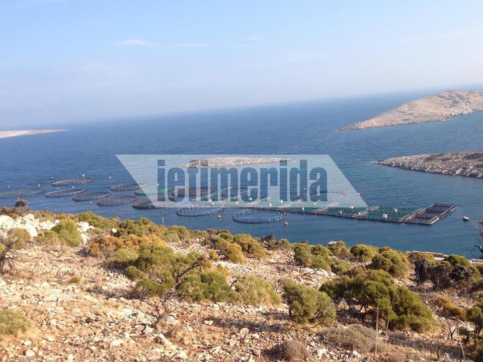 Αγαθονήσι: Κραυγή αγωνίας για τις ιχθυοκαλλιέργειες – «Να μείνει ζωντανή η επιχείρηση» | iefimerida.gr 4